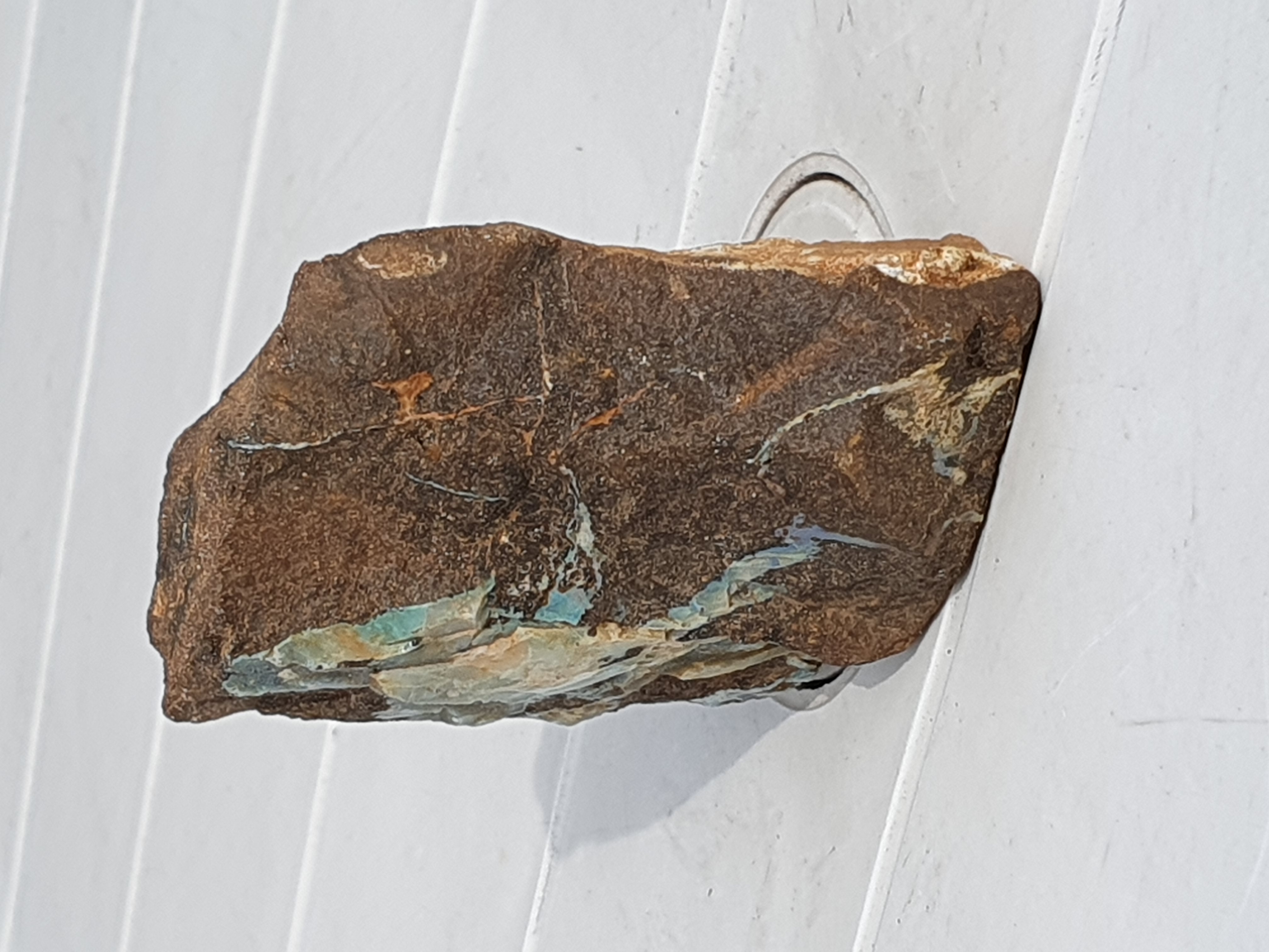 Boulder opal